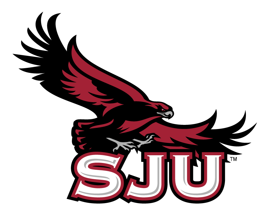 St. Joseph's Hawks 2002-2018 Secondary Logo iron on transfers for T-shirts